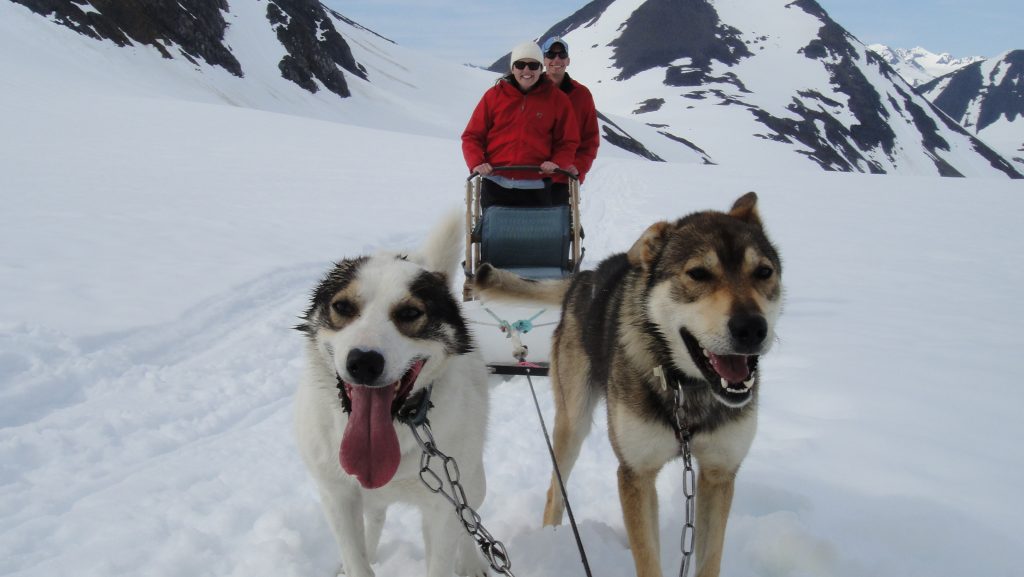 Alaska Dog Sled